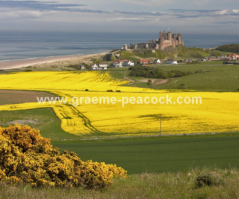 Bamburgh Castle and beach, Bamburgh, Northumberland