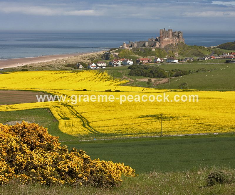 Bamburgh Castle and beach, Bamburgh, Northumberland