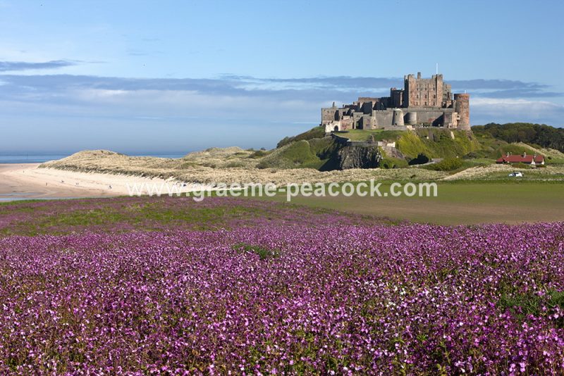 Bamburgh Castle and beach, Bamburgh, Northumberland