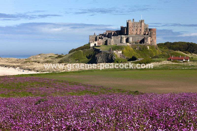 Bamburgh Castle and beach, Bamburgh, Northumberland