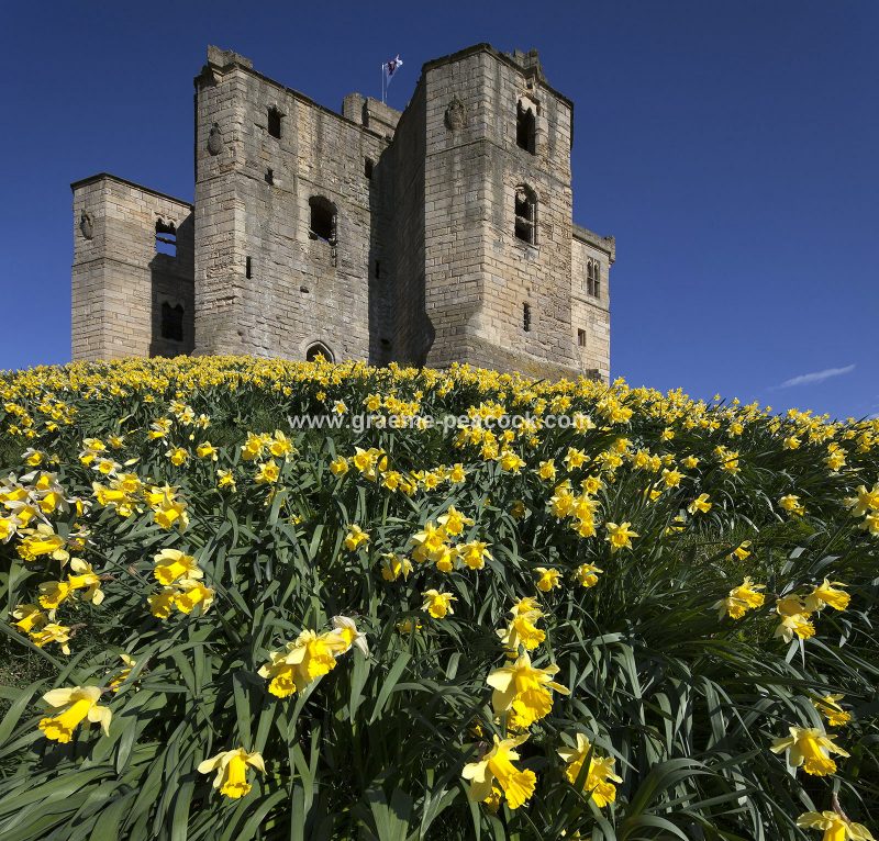 Warkworth Castle, Warkworth, Northumberland