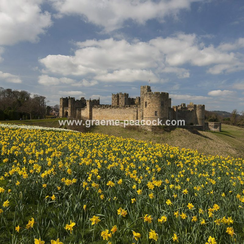 Alnwick Castle, Alnwick, Northumberland