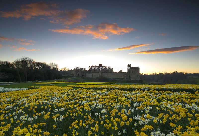 Alnwick Castle at dusk in Spring, Alnwick, Northumberland