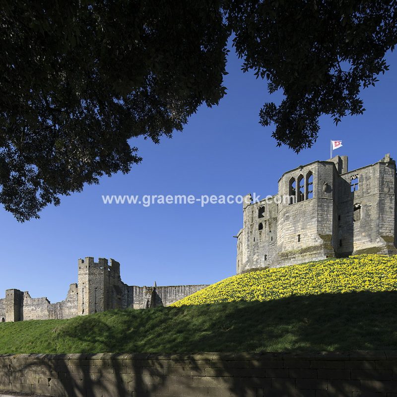 Warkworth Castle in Spring, Warkworth, Northumberland