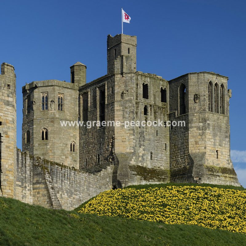 Warkworth Castle in Spring, Warkworth, Northumberland