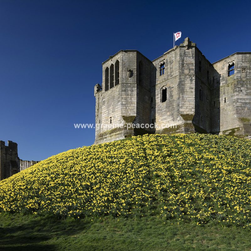 Warkworth Castle in Spring, Warkworth, Northumberland