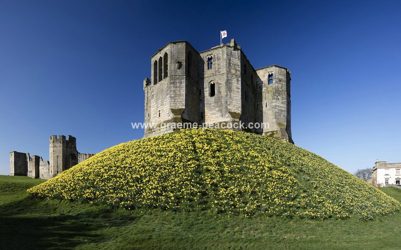 Warkworth Castle in Spring, Warkworth, Northumberland