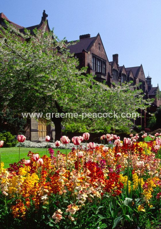 The Quadrangle Newcastle University