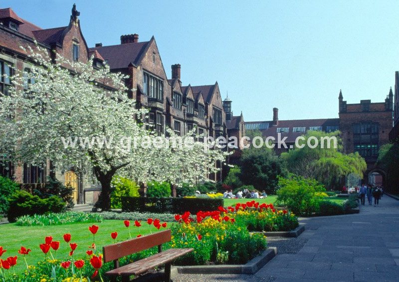 The Quadrangle Newcastle University