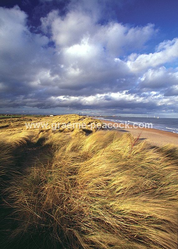 Blyth Beach and Dunes