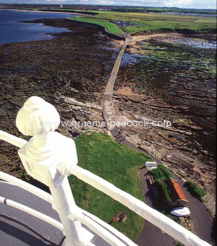 View from St. Mary's Lighthouse