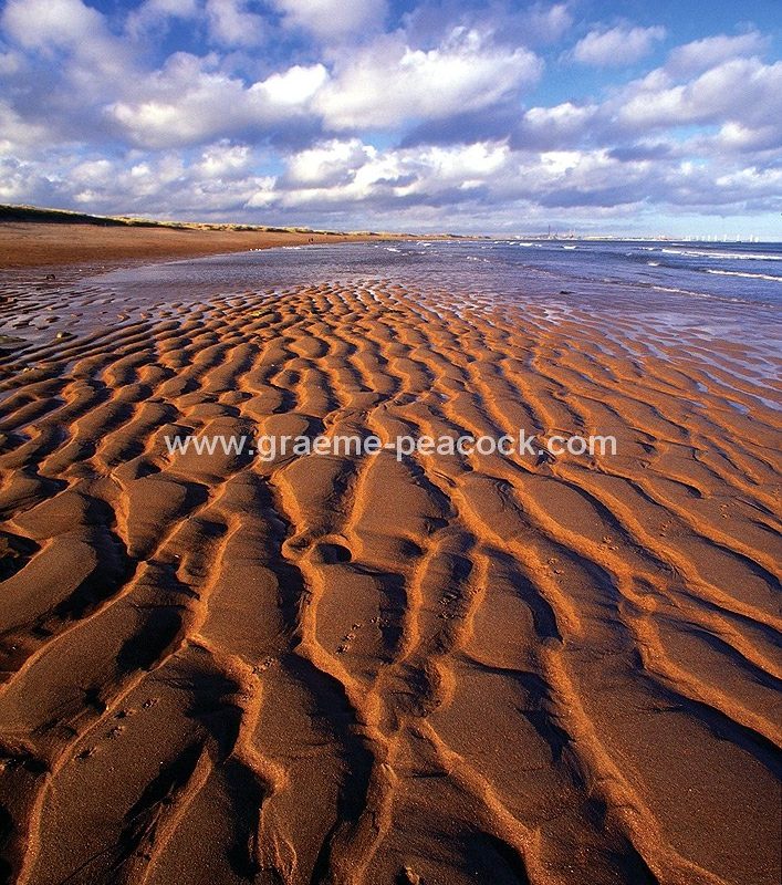 Seaton Sluice Beach