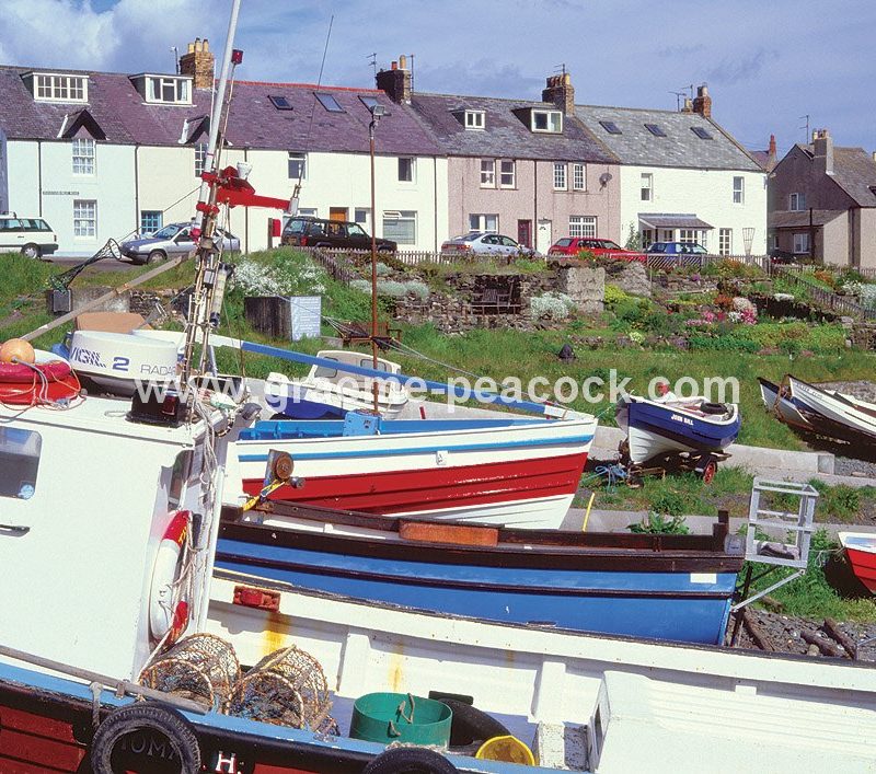 Craster Harbour