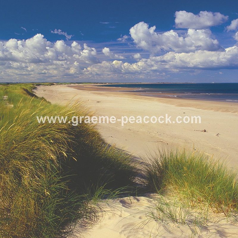 Druridge Bay