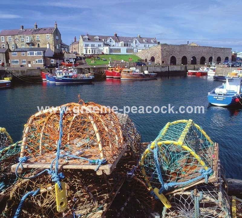 Seahouses Harbour, Seahouses, Northumberland