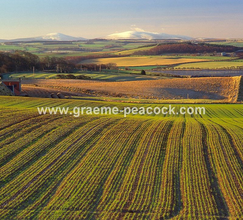 Budle Bay near Bamburgh, Northumberland