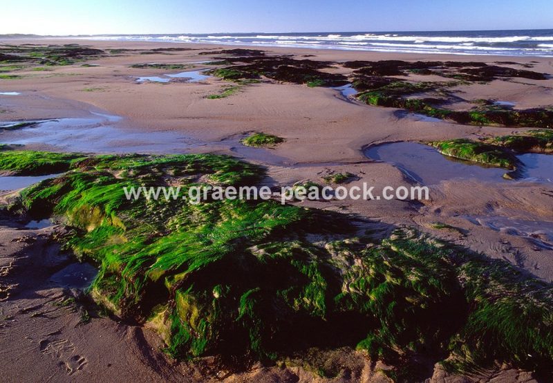 Druridge Bay near Amble, Northumberland