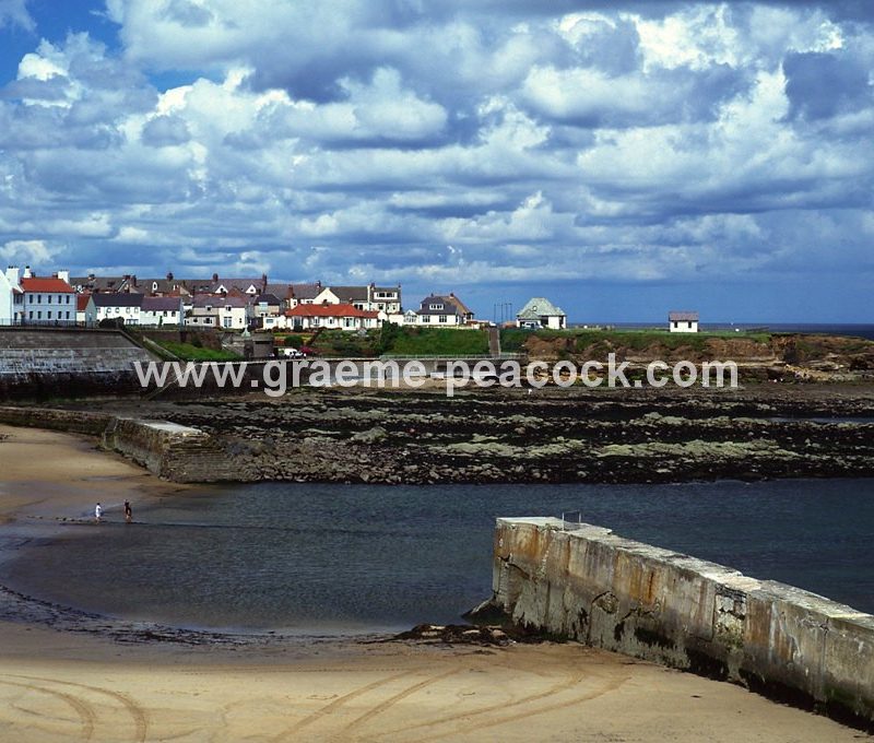Cullercoats harbour, Cullercoats, Tyne and Wear