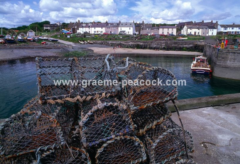 Craster harbour, Craster, Northumberland