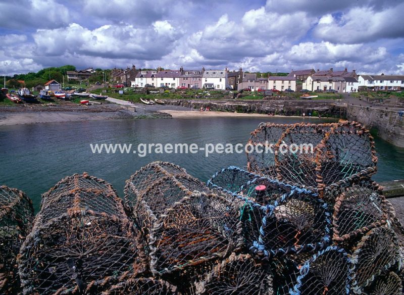 Craster harbour, Craster, Northumberland