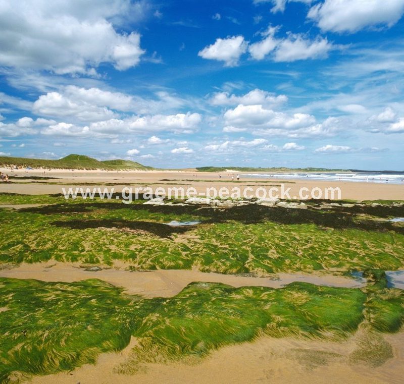 Embleton Bay, Embleton, Northumberland