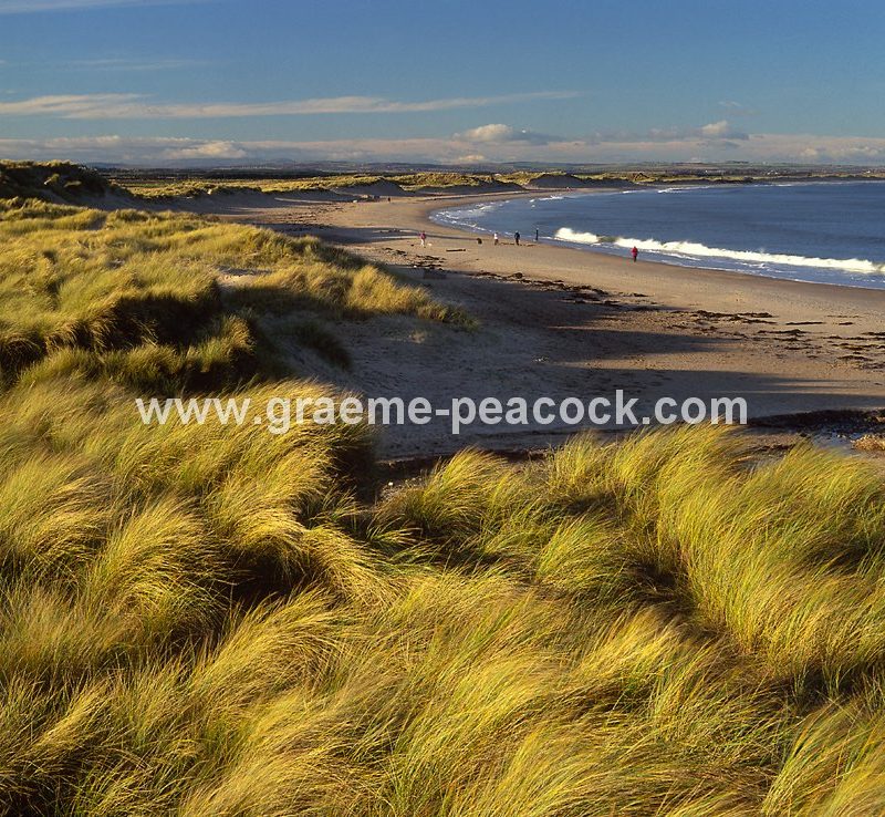 Druridge Bay, near Cresswell, Northumberland