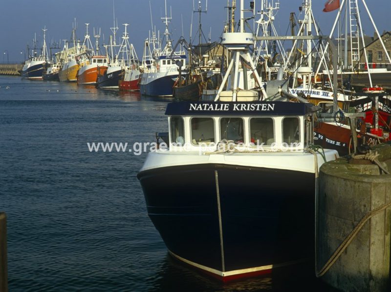 Amble Harbour, Amble, Northumberland
