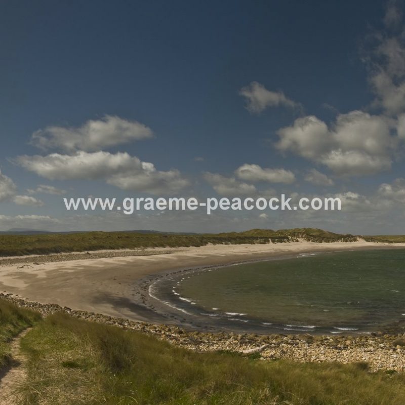 Lindisfarne National Nature Reserve, Northumberland Coast