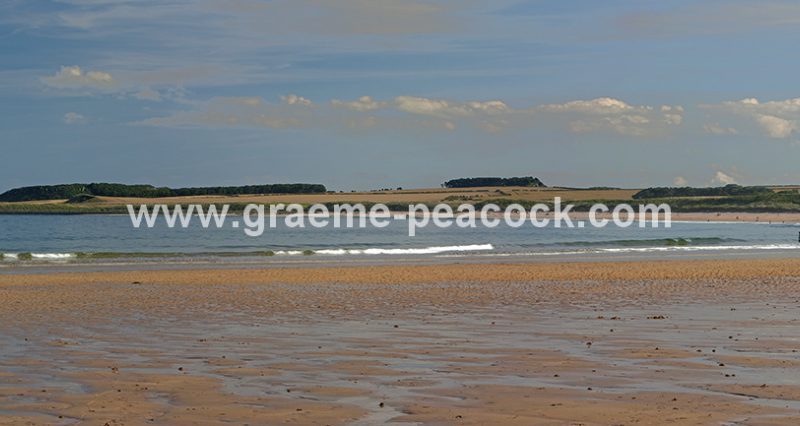 Embleton Bay and Dunstanburgh Castle near Embleton, Northumberland
