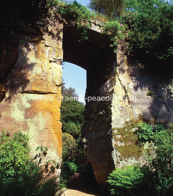 Belsay Quarry Gardens