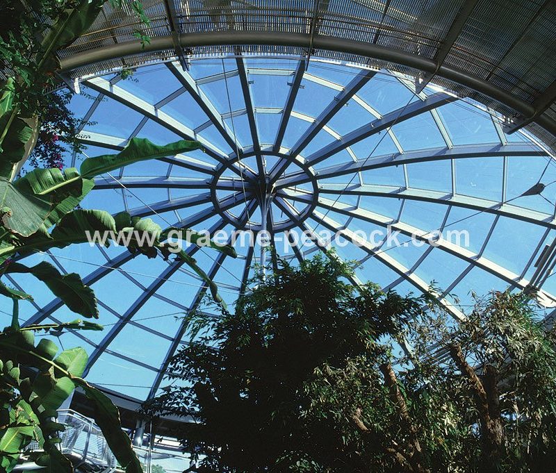 Sunderland Winter Gardens