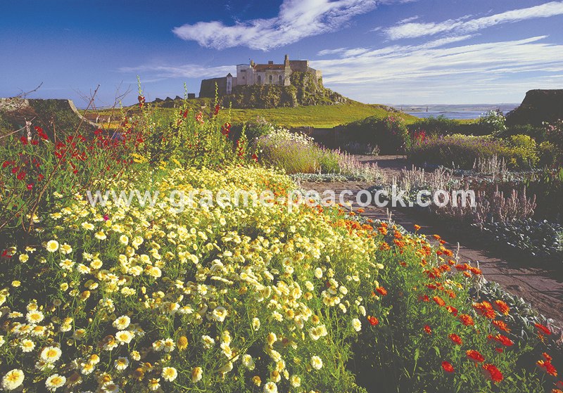 The Walled Garden & Lindisfarne Castle