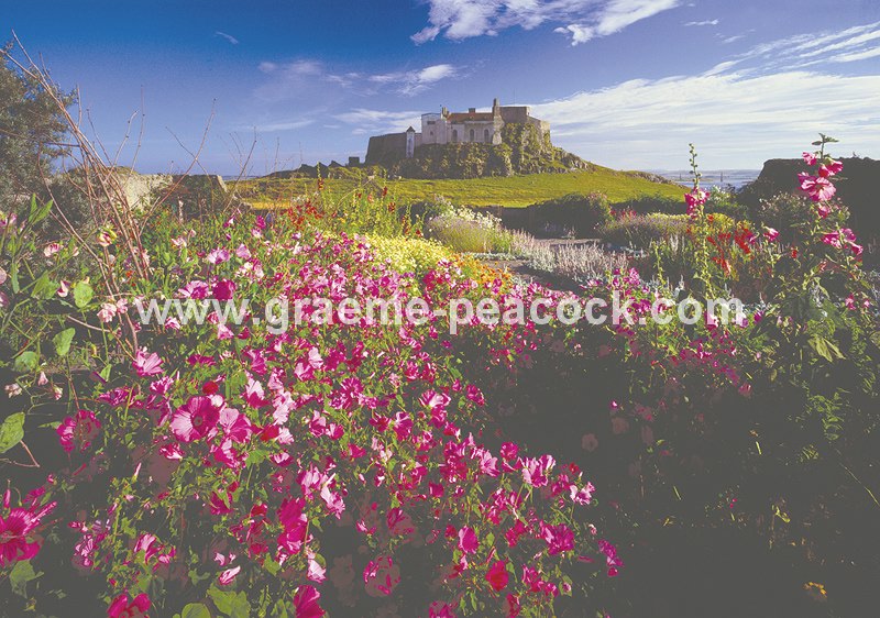 The Walled Garden & Lindisfarne Castle
