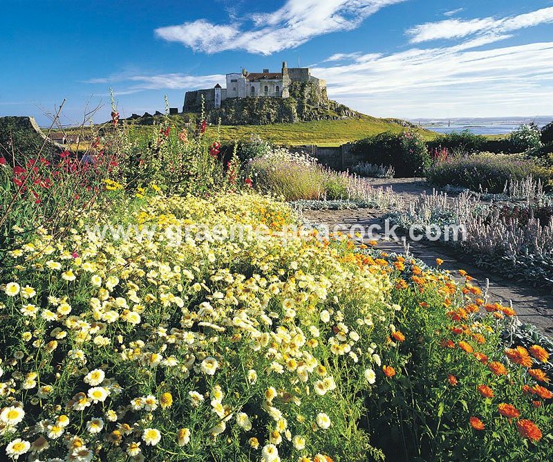 The Walled Garden & Lindisfarne Castle