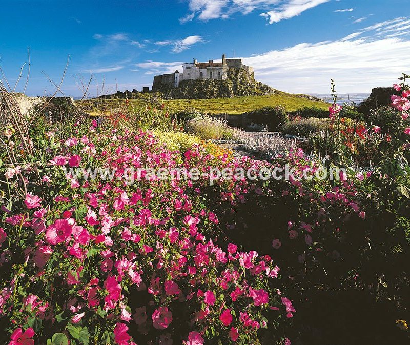 The Walled Garden & Lindisfarne Castle