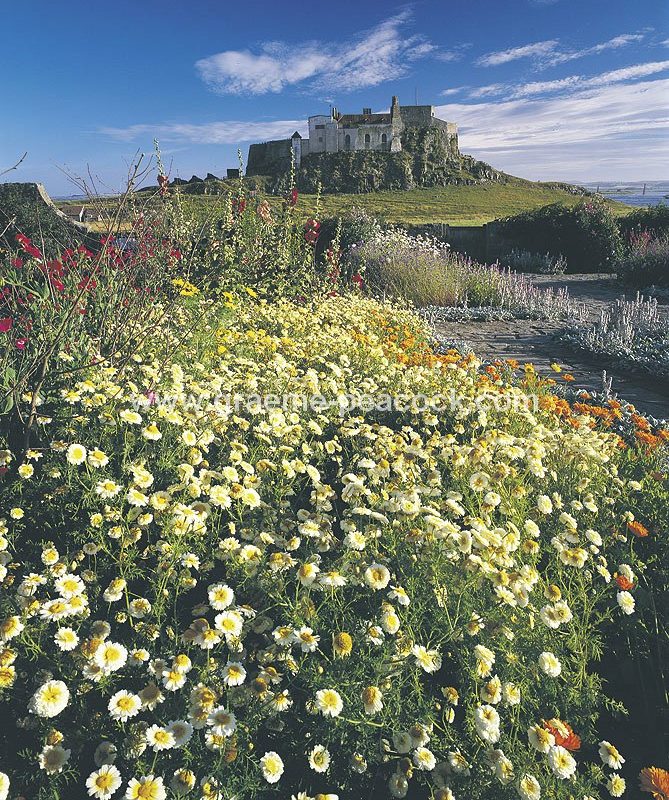 The Walled Garden & Lindisfarne Castle