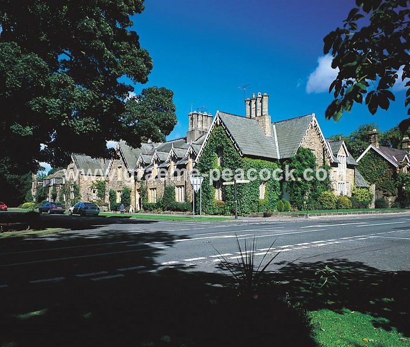 Brancepeth Village