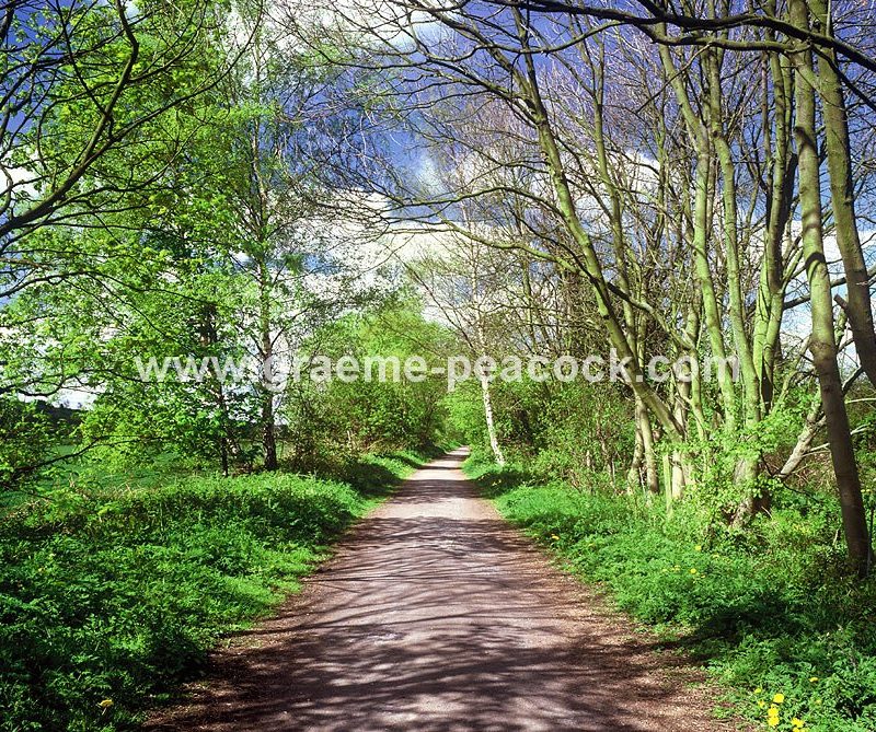 Derwent Walk