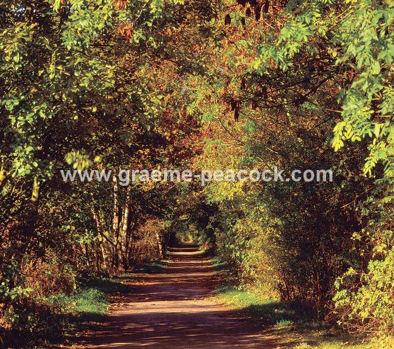 Tyne Riverside Country Park