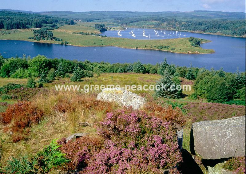 Kielder Water