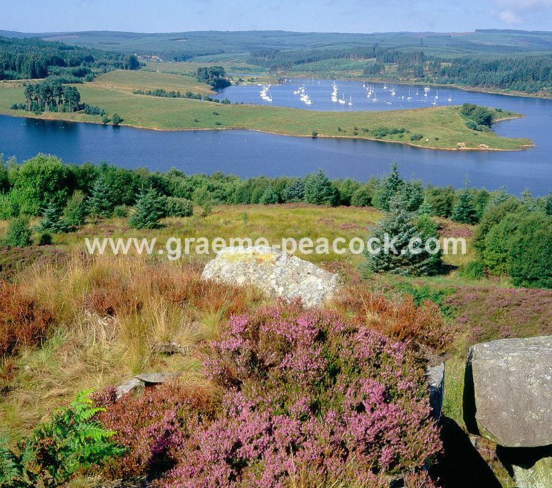 Kielder Water