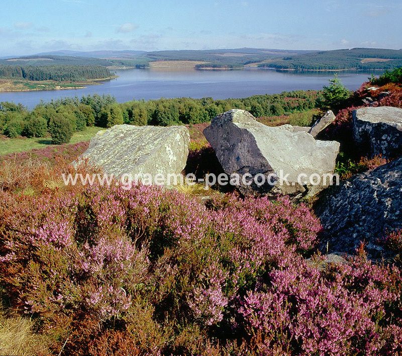 Kielder Water