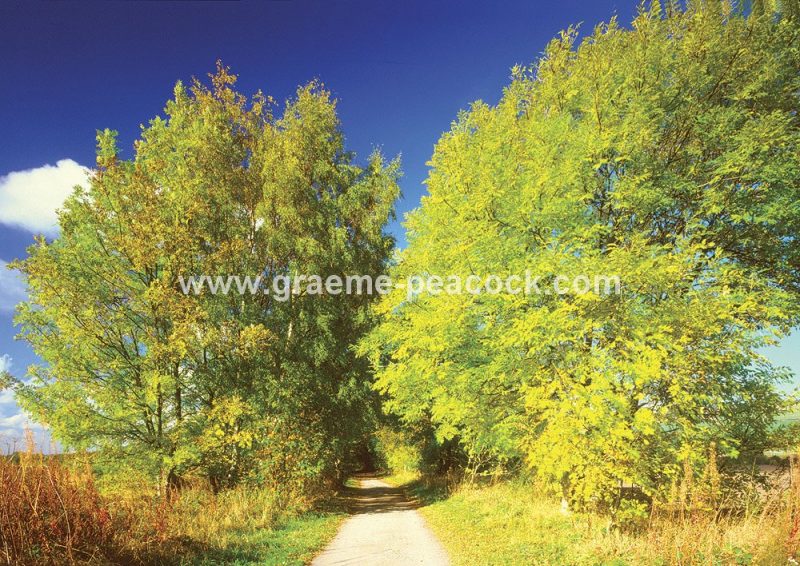 Tyne Riverside Country Park