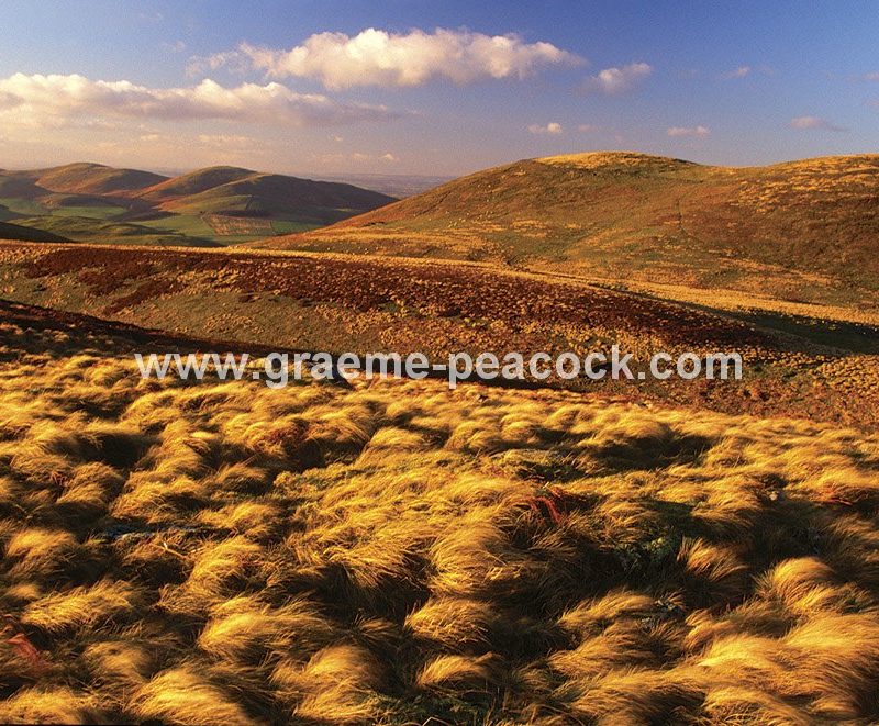Yeavering Bell Hillfort