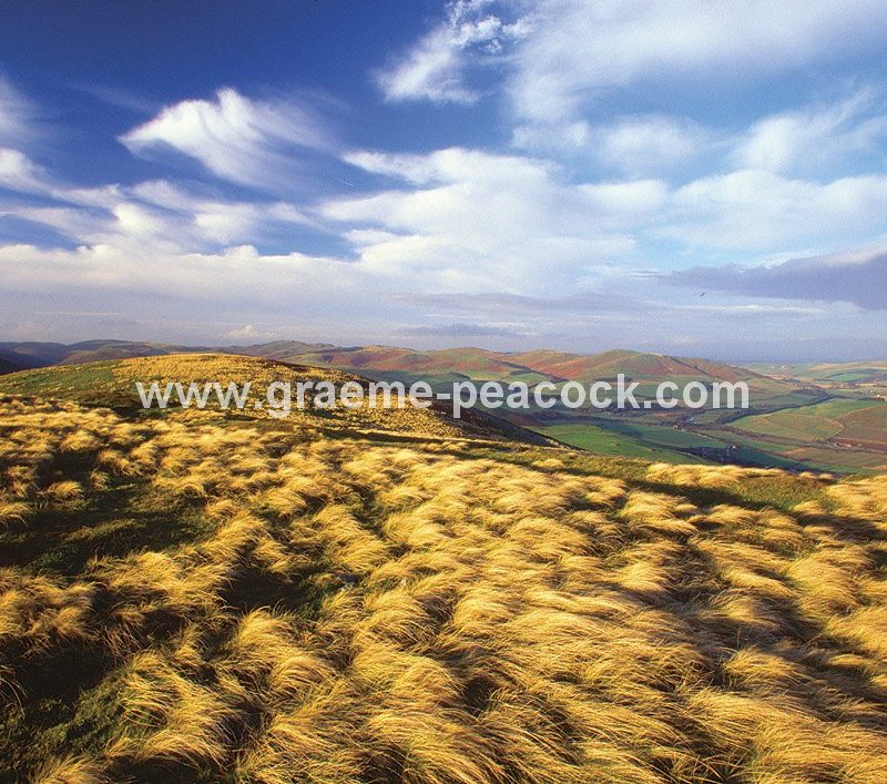 Yeavering Bell Hillfort