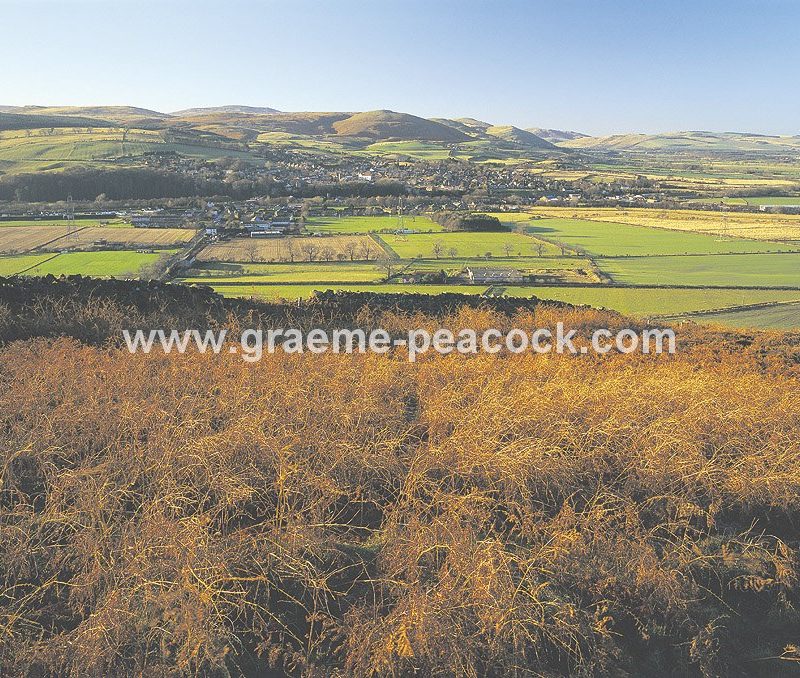 Wooler and The Cheviot Hills viewed from Weetwood Moor