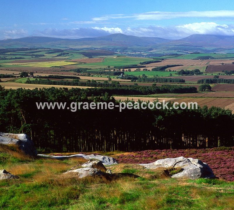 Cheviot Hills near St. Cuthbert's Cave, Belford, Northumberland