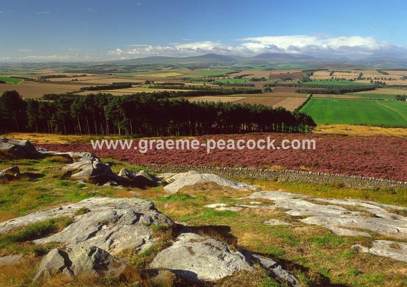Cheviot Hills near St. Cuthbert's Cave, Belford, Northumberland