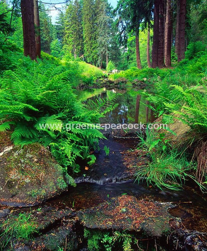 Cragside Estate near Rothbury, Northumberland