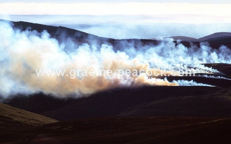 Heather burning near Hedgehope Hill near Wooler, Cheviot Hills, Northumberland, NNPA